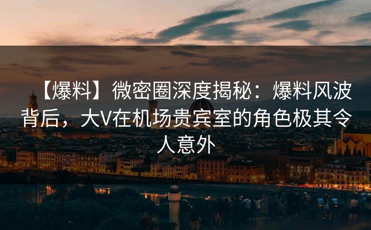 【爆料】微密圈深度揭秘：爆料风波背后，大V在机场贵宾室的角色极其令人意外