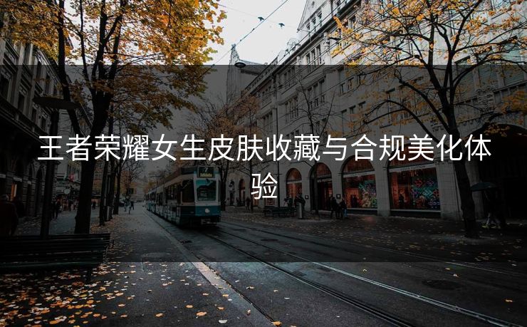 王者荣耀女生皮肤收藏与合规美化体验