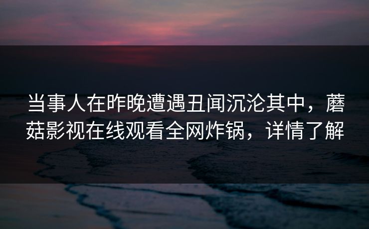 当事人在昨晚遭遇丑闻沉沦其中，蘑菇影视在线观看全网炸锅，详情了解