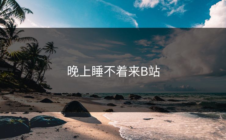 晚上睡不着来B站