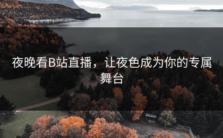 夜晚看B站直播，让夜色成为你的专属舞台