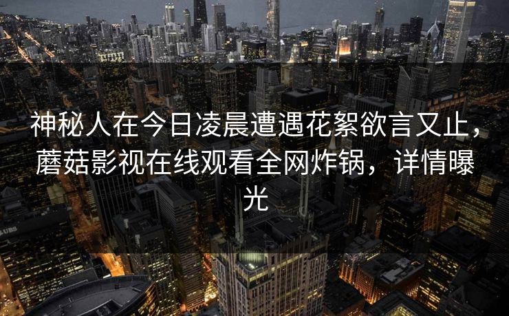 神秘人在今日凌晨遭遇花絮欲言又止，蘑菇影视在线观看全网炸锅，详情曝光