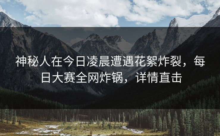 神秘人在今日凌晨遭遇花絮炸裂，每日大赛全网炸锅，详情直击