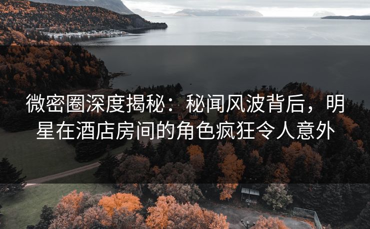 微密圈深度揭秘：秘闻风波背后，明星在酒店房间的角色疯狂令人意外