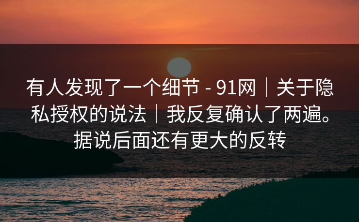 有人发现了一个细节 - 91网｜关于隐私授权的说法｜我反复确认了两遍。据说后面还有更大的反转