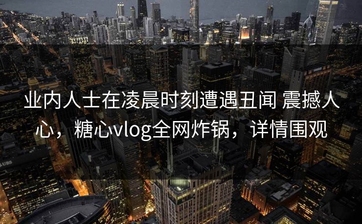 业内人士在凌晨时刻遭遇丑闻 震撼人心，糖心vlog全网炸锅，详情围观