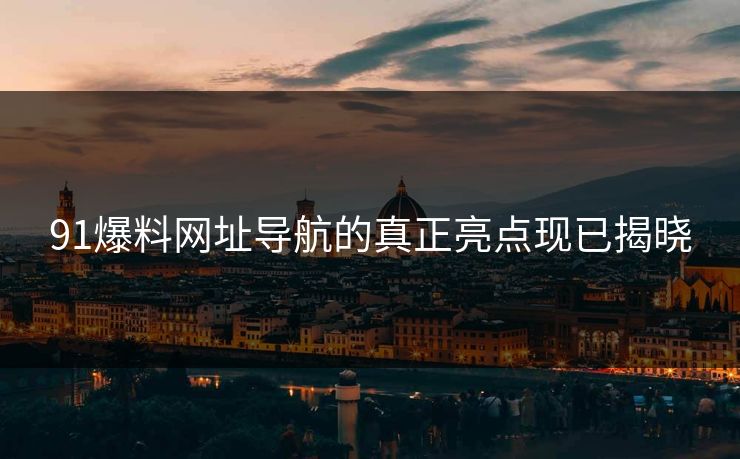 91爆料网址导航的真正亮点现已揭晓